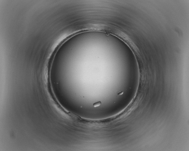 X0000115831083200911131500