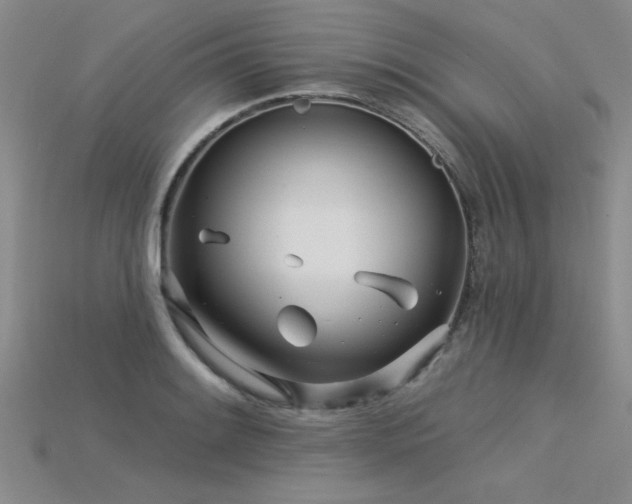 X0000115831084200911131500