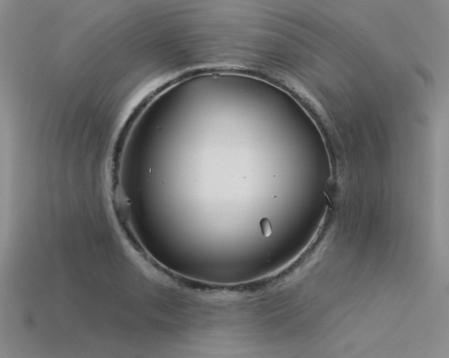 X0000115831085200911131500