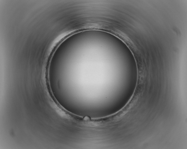 X0000115831086200911131500