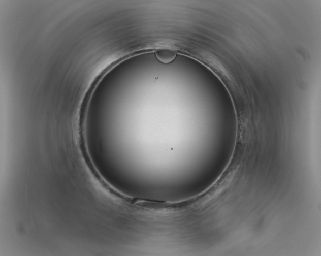 X0000115831087200911131500