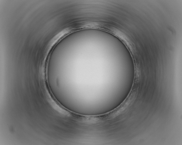 X0000115831090200911131500