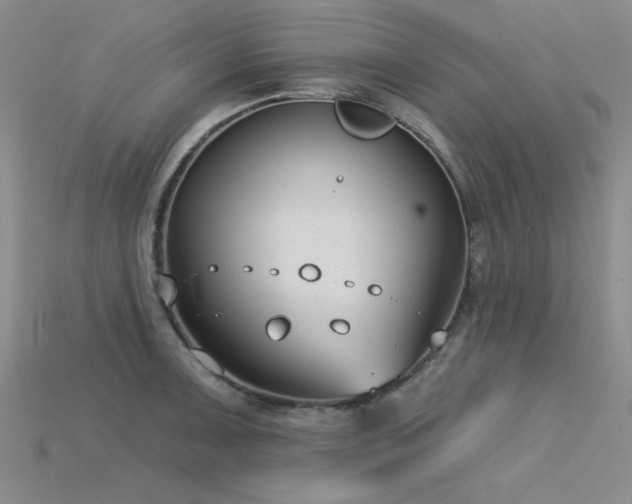 X0000115831091200911131500