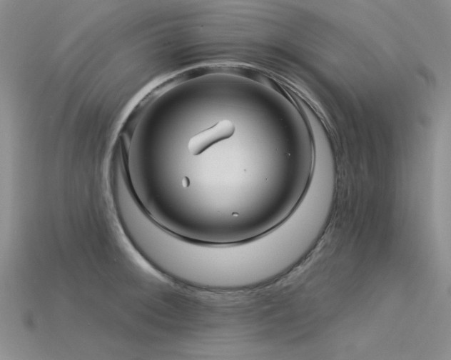 X0000115831092200911131500