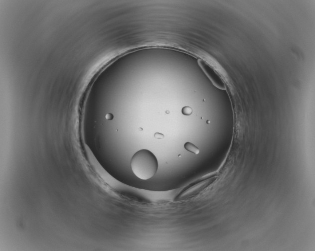 X0000115831096200911131500