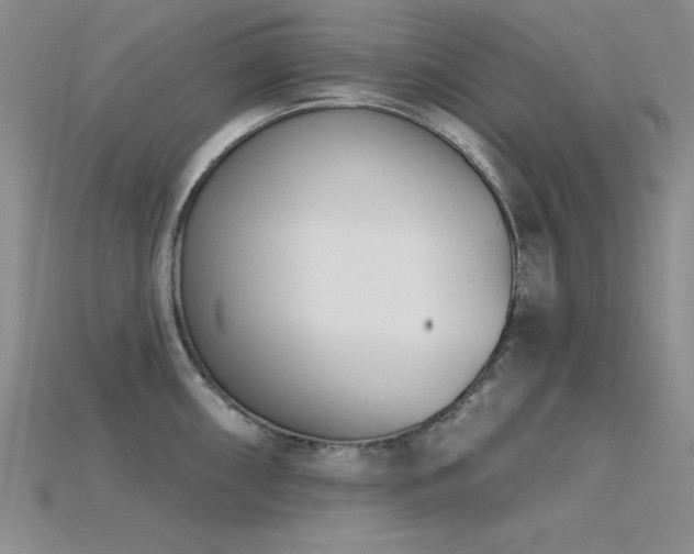 X0000115831098200911131500