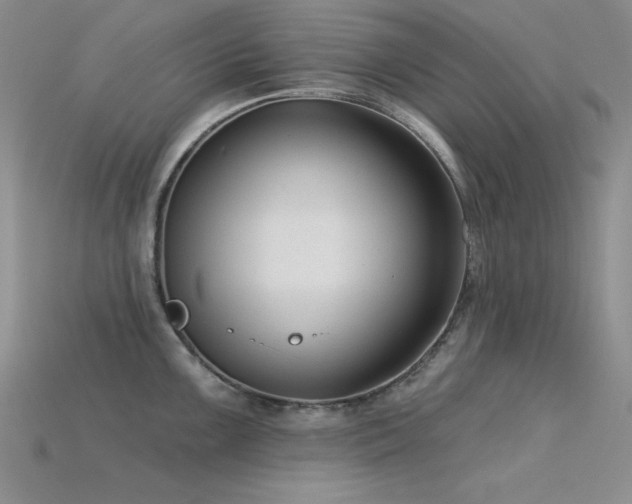 X0000115831099200911131500