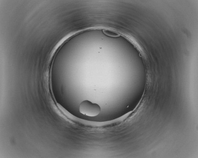 X0000115831100200911131500