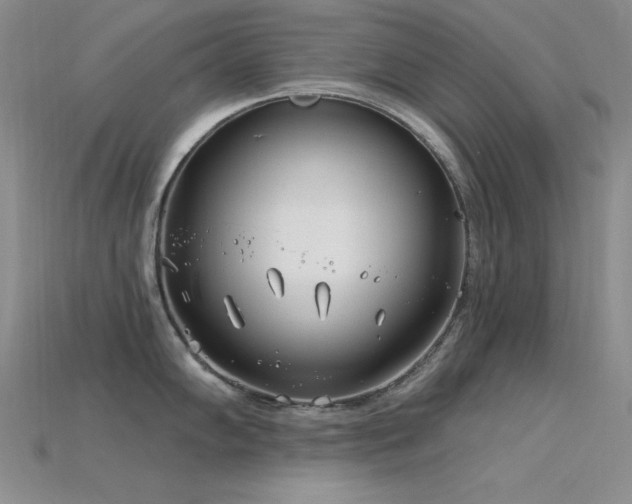 X0000115831102200911131500