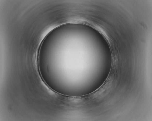 X0000115831103200911131500