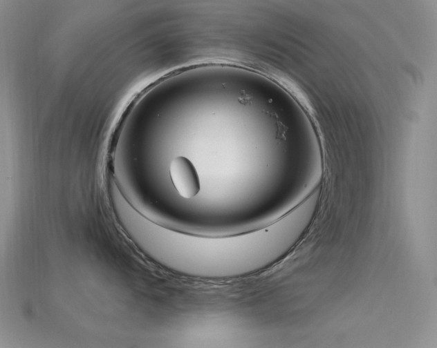 X0000115831104200911131500