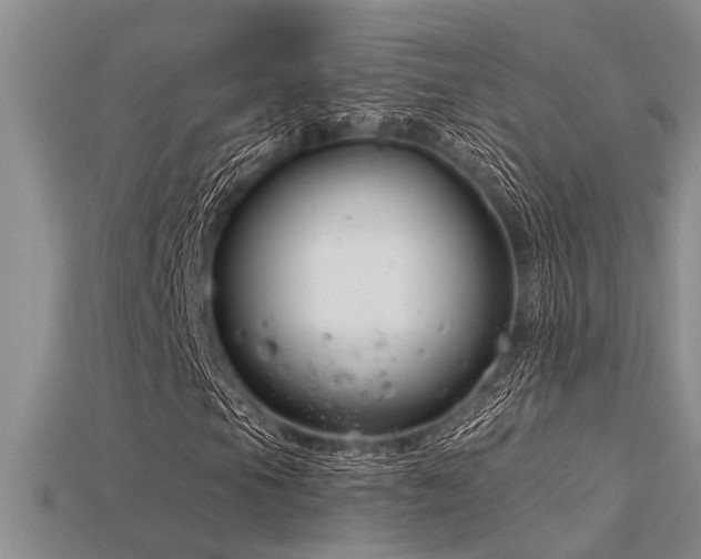 X0000115831105200911131500