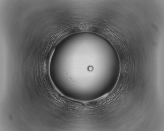 X0000115831106200911131500