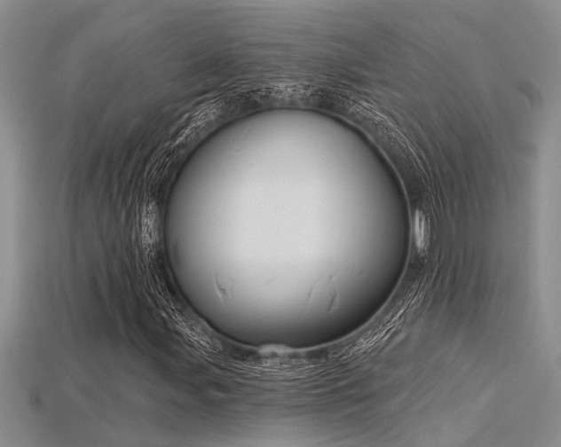 X0000115831107200911131500