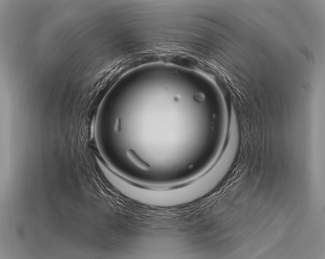 X0000115831110200911131500