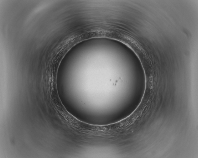 X0000115831111200911131500