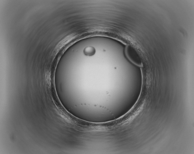 X0000115831113200911131500