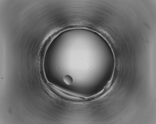 X0000115831114200911131500