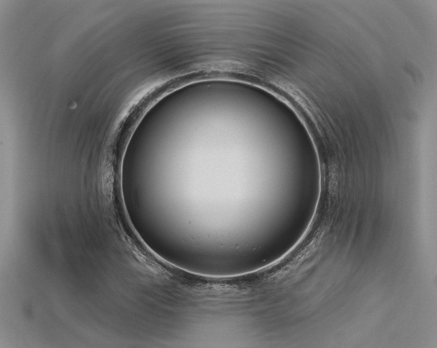 X0000115831115200911131500