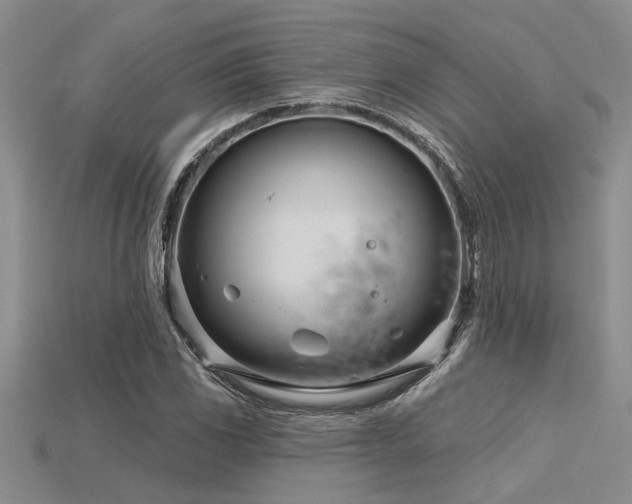 X0000115831117200911131500