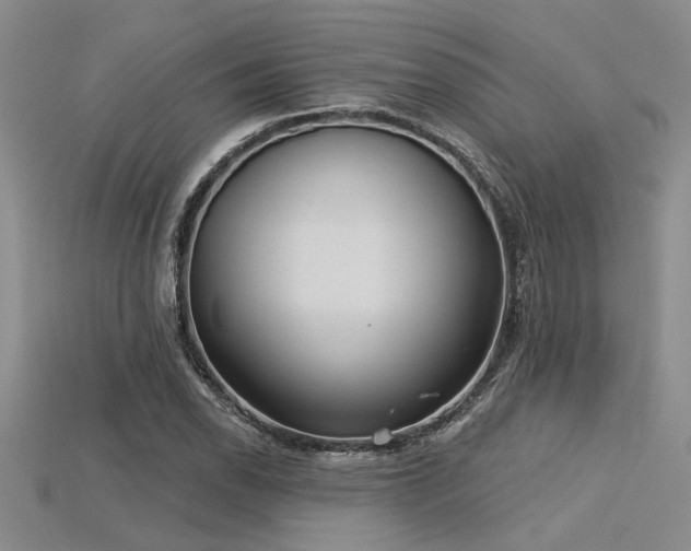 X0000115831118200911131500