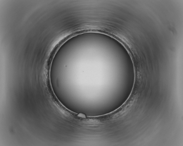 X0000115831119200911131500