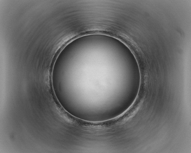 X0000115831121200911131500