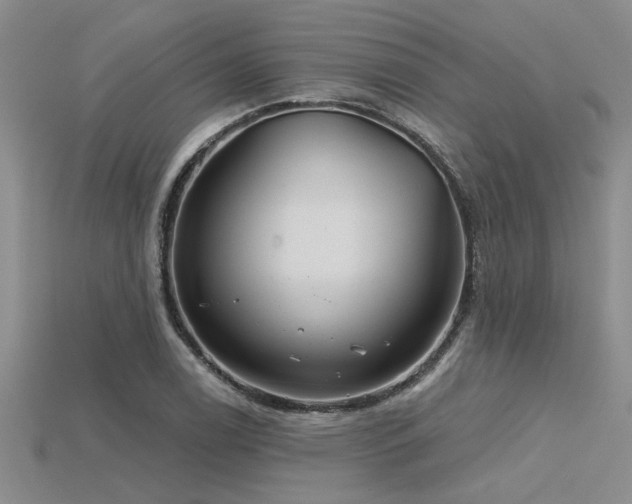 X0000115831122200911131500