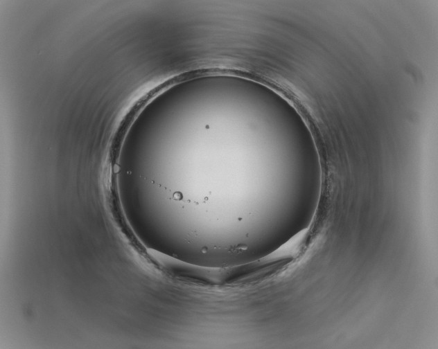 X0000115831125200911131500