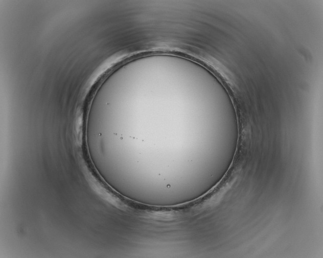 X0000115831126200911131500