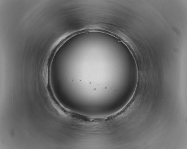 X0000115831127200911131500