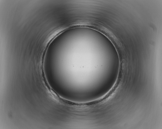 X0000115831129200911131500