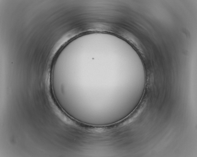 X0000115831130200911131500