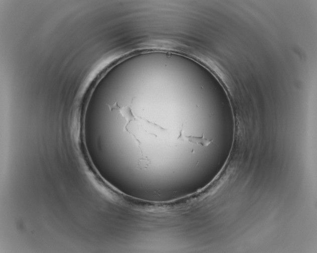 X0000115831131200911131500