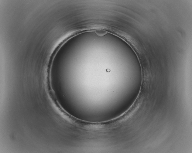 X0000115831134200911131500