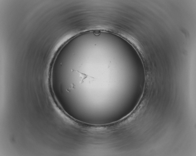 X0000115831135200911131500