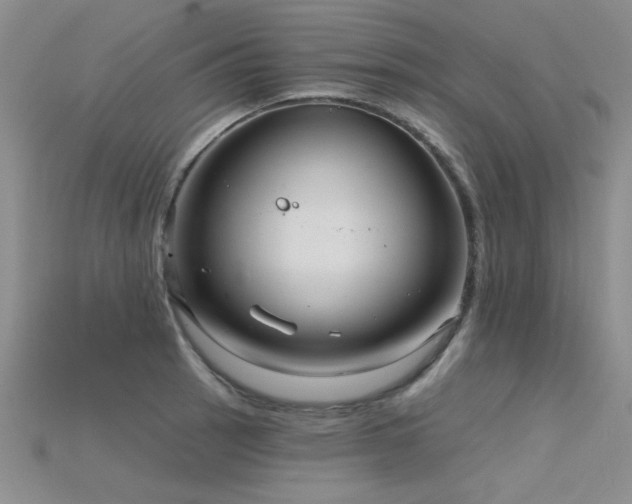 X0000115831137200911131500