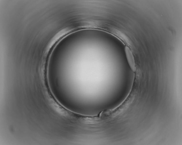 X0000115831138200911131500