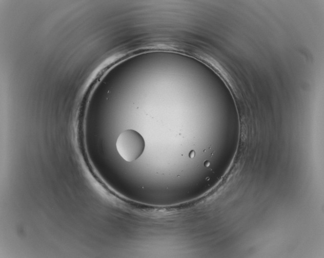 X0000115831139200911131500