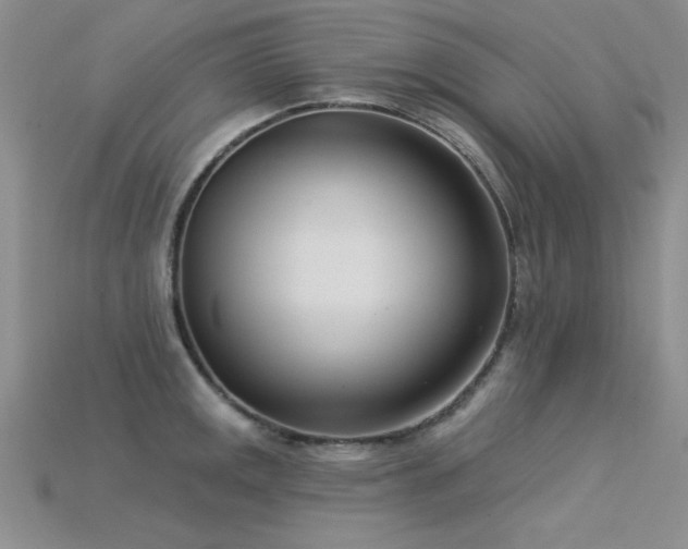 X0000115831141200911131500