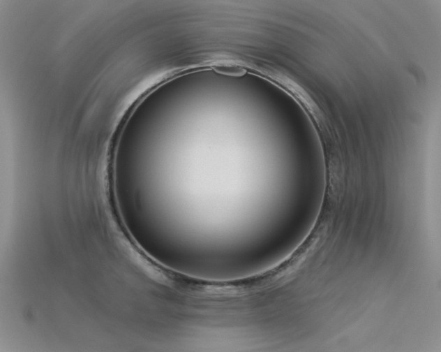 X0000115831142200911131500