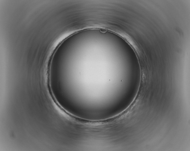 X0000115831143200911131500