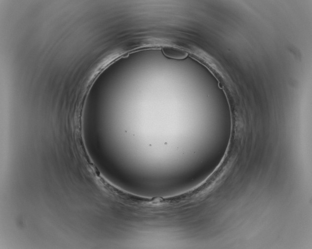 X0000115831145200911131500