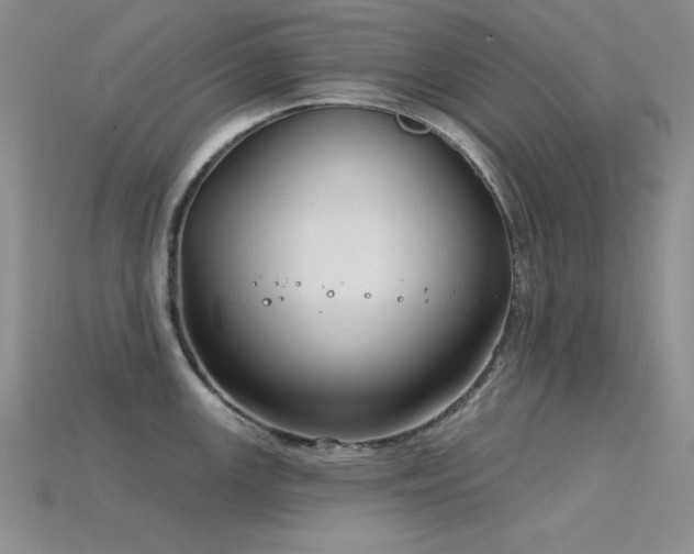 X0000115831147200911131500