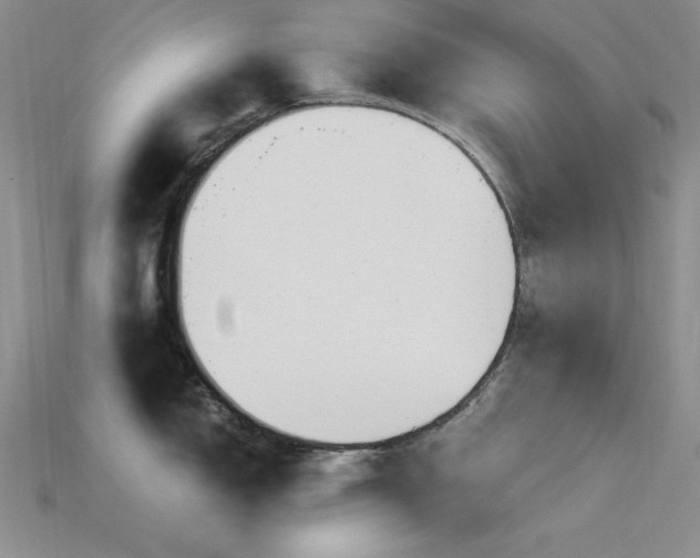 X0000115831150200911131500