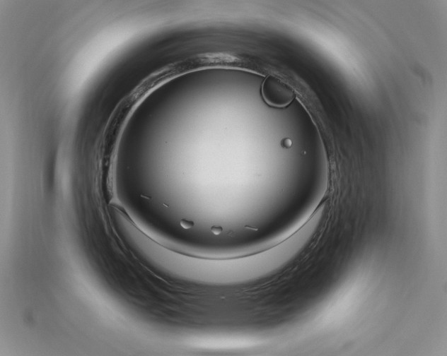 X0000115831151200911131500