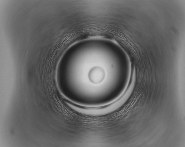 X0000115831153200911131500