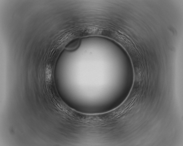 X0000115831154200911131500