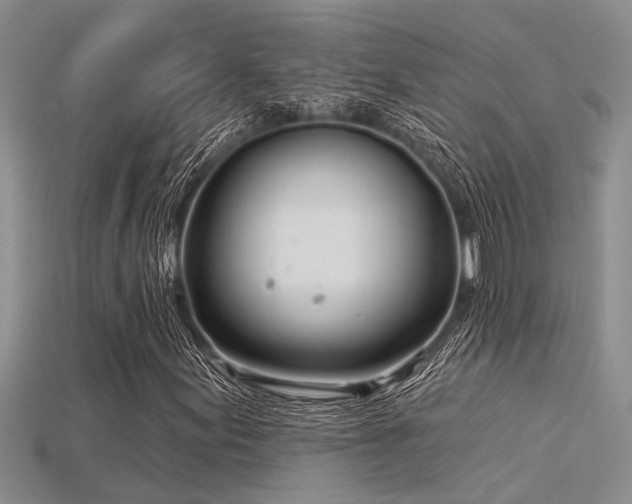 X0000115831155200911131500