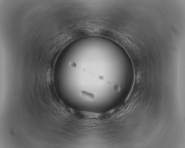 X0000115831156200911131459